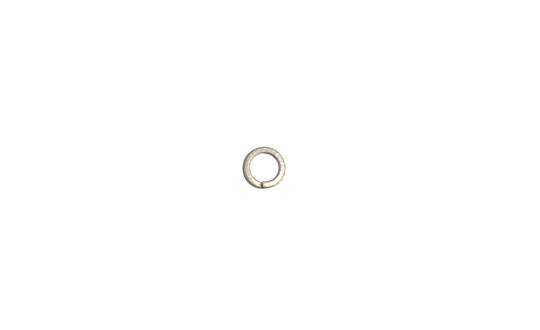 Lister Retaining Screw Washer